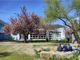 Schulhof mit Bäumen und einem Sitzkreis aus Steinen.