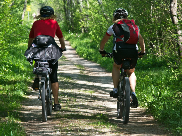 Zwei Radfahrer mit roter Ausrüstung fahren im Wald. 