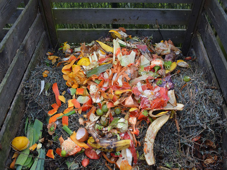 Biomüll auf dem Komposthaufen