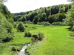 Grüne Landschaft mit Wiesen, Wald und Bach.
