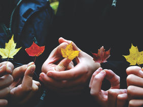 Kinder halten buntes Herbstlaub in den Händen