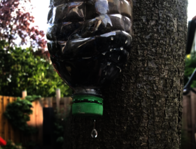 Eine umgedreht Wasserflasche mit Sand hängt an einem Baum und filtert das Wasser.