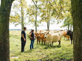Familie Brauner mit ihren Rindern auf einer Feuchtwiese
