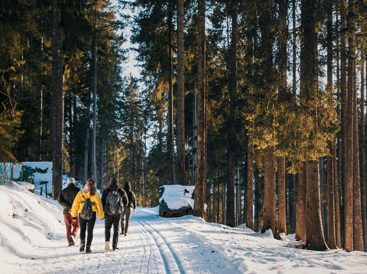 Menschen wandern im verschneiten Wald.