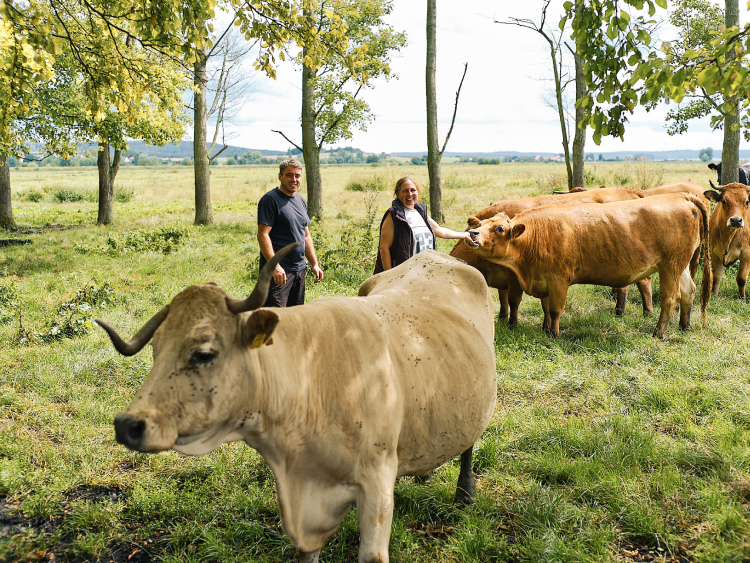 Familie Brauner mit ihren Rindern auf einer Feuchtwiese