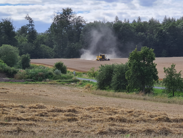 Ein Feld am Ende des Sommers, im Hintergrund fährt eine Landwirtschaftsmaschine über das Feld und erntet Getreide. Staub wird aufgewirbelt. 