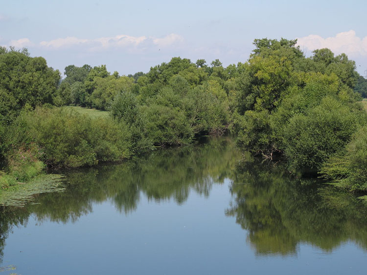 Der Fluss Lahn mit Bäumen im Hintergrund