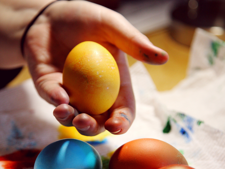 Eine Hand, die ein gelbes Ei in der Hand hält. Auf dem Tisch darunter sind viele bunte Eier zu sehen, die gerade eingefärbt wurden.