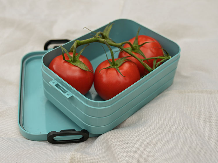 Eine Brotdose mit Tomaten darin.