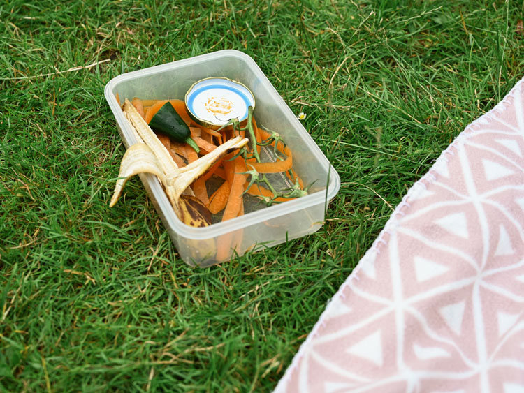 Eine Brotdose mit Picknickabfällen