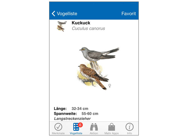 App zur Vogelbestimmung zeigt als Ergebnis einen Kuckuck an.