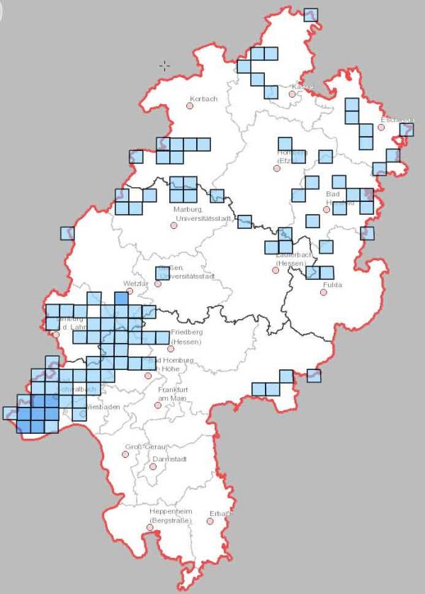 Landkarte über den Lebensraum von Wildkatzen in Hessen