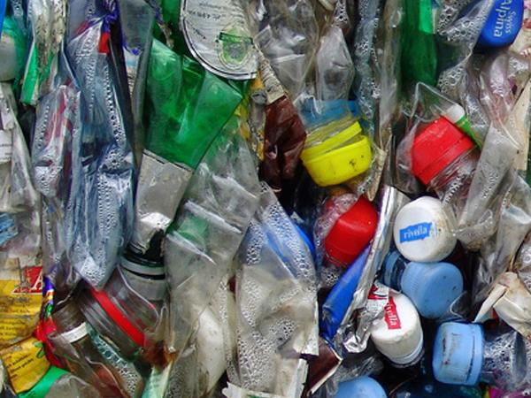 Vermüllte Plastikflaschen