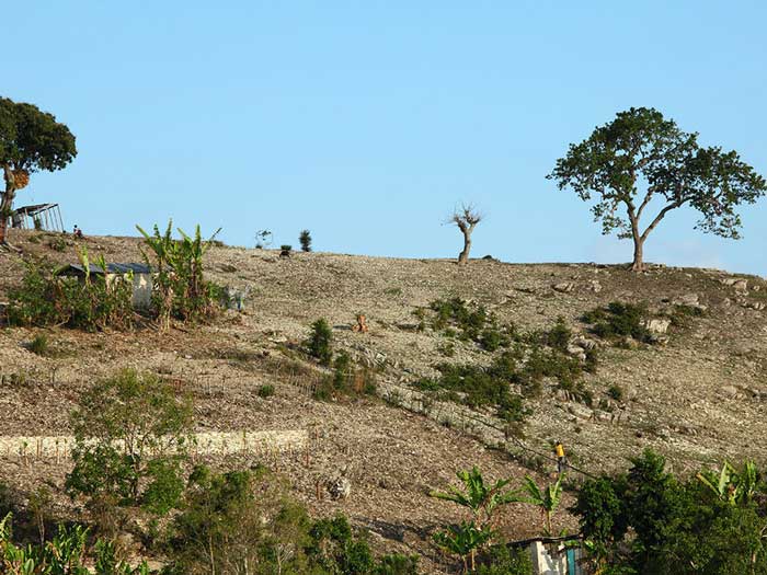 abgeholzte Gegend auf Haiti