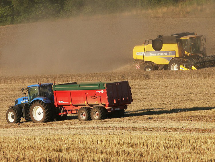 Zwei Traktoren dreschen ein Getreidefeld.