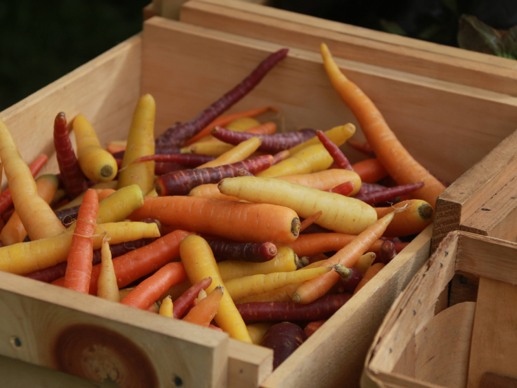 Karotten in einer Holzkiste