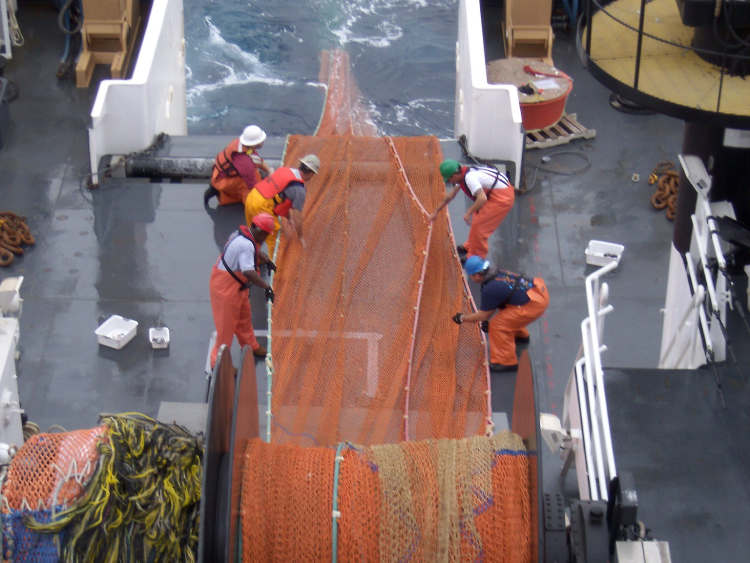 Fünf Männer auf einem Fischerboot die dabei sind, ein langes orangenes Netz auszurollen. 