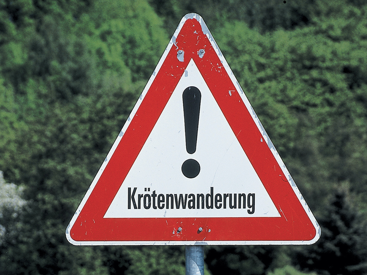 Dreieckiges Straßenschild mit Aufschrift "Krötenwanderung!"